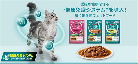 ピュリナ ワン 猫用ウェット: 愛猫の栄養と健康をサポートする総合食