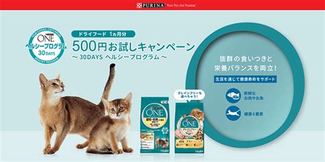 ピュリナ ワン 猫 お試しで愛猫の健康と幸せをサポートしよう！