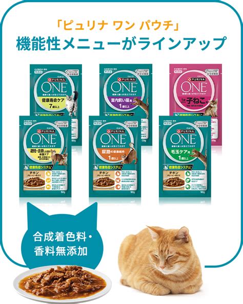 ピュリナ ワン 猫 パウチ：愛猫の健康と栄養をサポートするプレミアム キャットフード