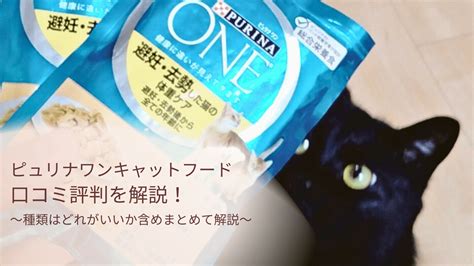 ピュリナ 猫向けフードの徹底ガイド：愛猫の健康と幸福をサポート