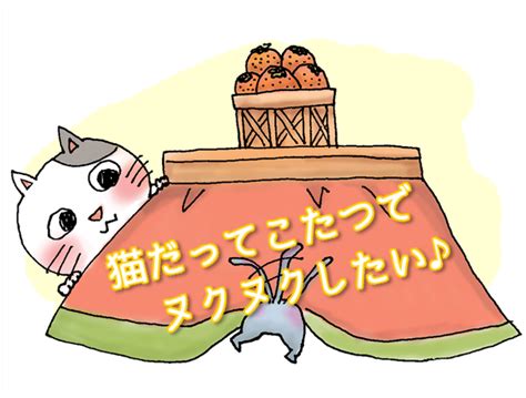 ファブリーズが猫に危険！飼い主が知っておくべき重要な情報