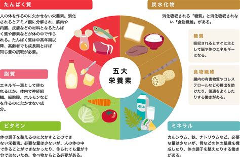 フィッシュ 4: 必須栄養素とその健康上の利点