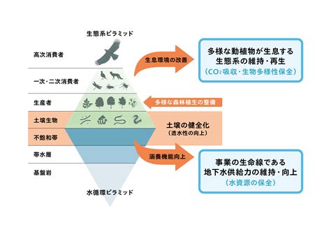 フィッシュ4の多様な可能性を探求：食品、医薬品、エネルギー、そしてそれ以上