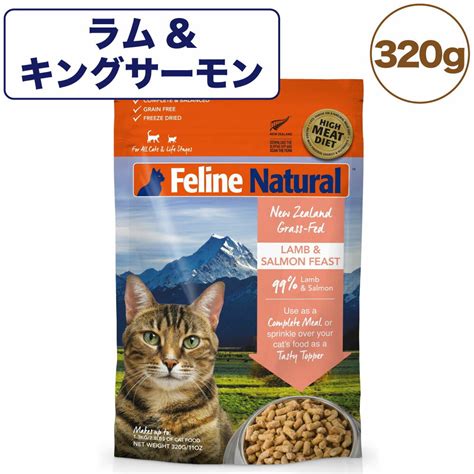 フィーライン猫: 魅力的な世界へとようこそ