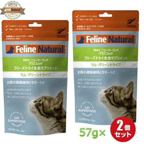 フィー ライン 猫: 最新の常識を覆す、あなたの猫との絆を深める革命