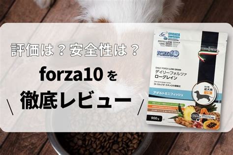 フォルツァ 10 犬 口コミ