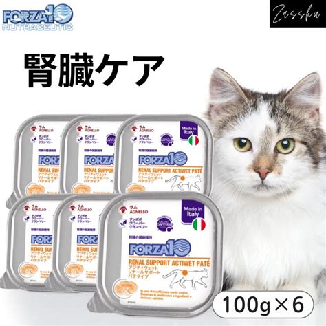 フォルツァ 10 猫 腎臓：腎臓病の包括的ガイド