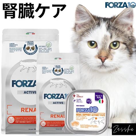 フォルツァ 10 腎臓猫: 腎臓病の猫のための食事療法