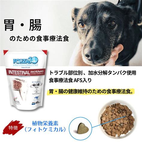 フォルツァ10 犬の餌レビュー：愛犬の健康を支える高品質フード