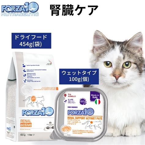 フォルツァ10 猫 腎臓：愛猫の腎臓病を理解するための包括ガイド