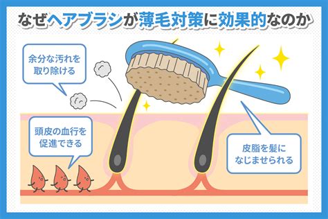 フケ対策に効果的なブラッシングテクニック