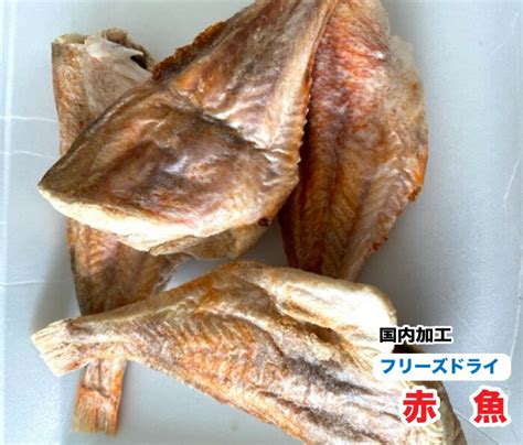 フリーズドライの魚で健康的な食生活を実現！