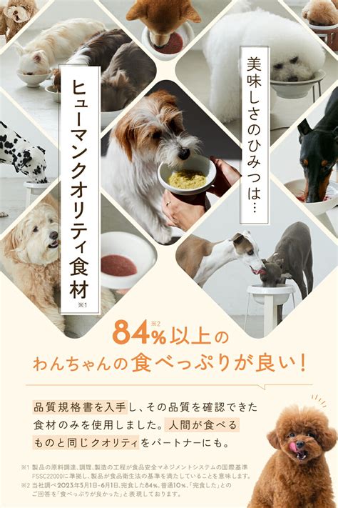 フリーズドライフードが犬の健康に果たす驚異的なメリット