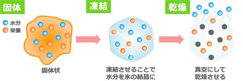 フリーズドライ処理とは何か？