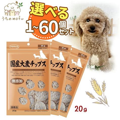 フリーズドライ犬の究極ガイド：愛犬の健康と幸せのための栄養価の高い食事