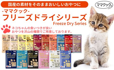 フリーズドライ猫って知ってる？その魅力とおすすめ商品紹介