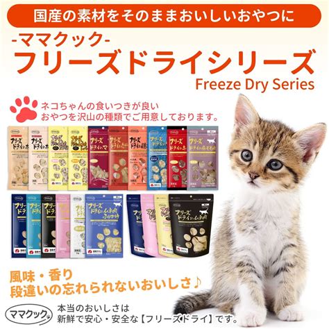 フリーズドライ猫フードとは？