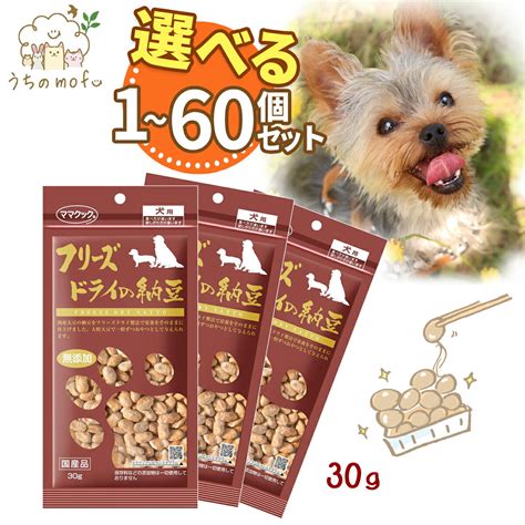 フリーズドライ納豆の愛犬への与え方と注意点