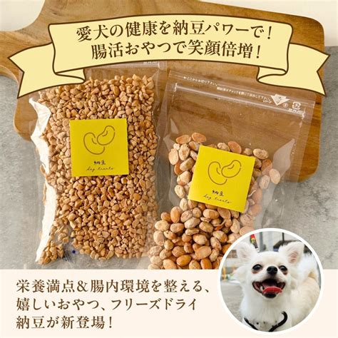 フリーズドライ納豆の愛犬への活用法