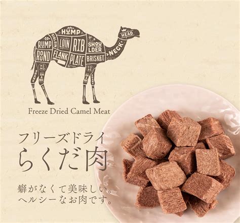 フリーズドライ肉：保存が効き、栄養価も抜群の万能食材！