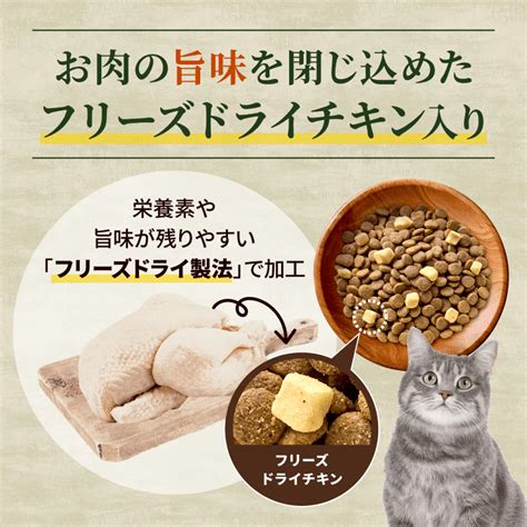 フリーズ ドライ 猫：栄養豊富なプレミアムキャットフード