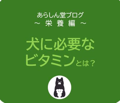 フルッタ : 愛犬の健康と栄養に欠かせない犬用サプリメント