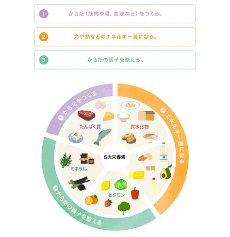 フードローテーション：多様な食事で健康な生活を