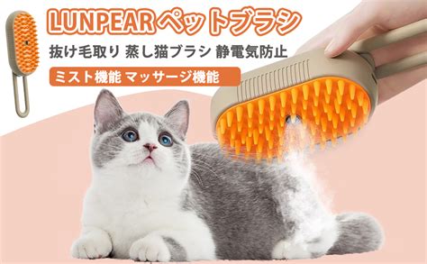 ブラシ猫：癒やしと機能性を兼ね備えた新感覚ペット