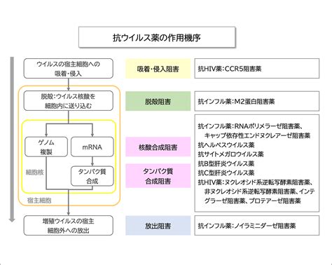 ブラックファンガスの脅威に対抗する: 予防、治療、そして希望