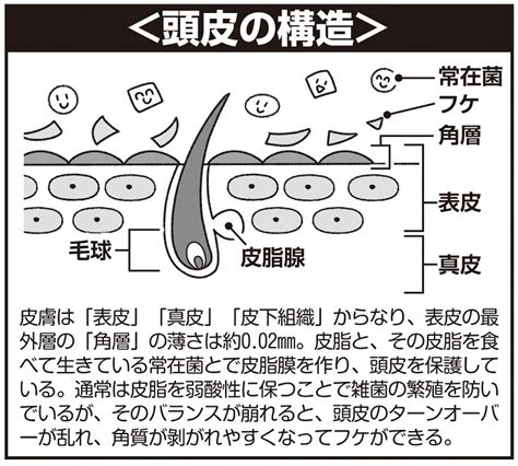 ブラッシングでフケが出るのはなぜ？その原因と対策