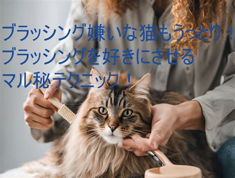 ブラッシング嫌いな猫のためのブラッシングガイド