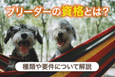 ブリーダーになるための要件