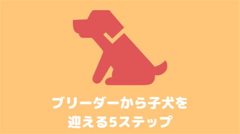 ブリーダーナビへのログインから犬を飼うまでの流れ