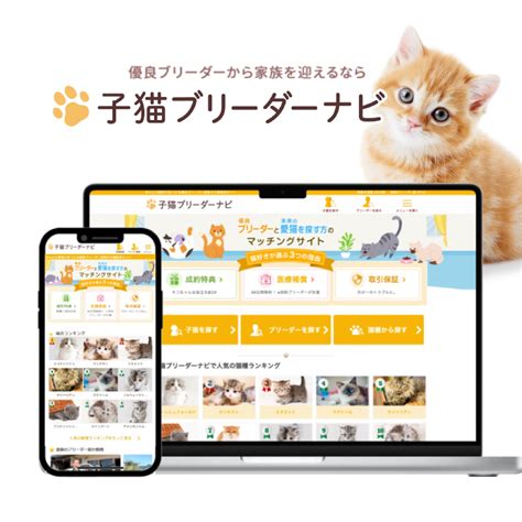 ブリーダー ナビ 猫：理想的な子猫を迎え入れるための包括ガイド