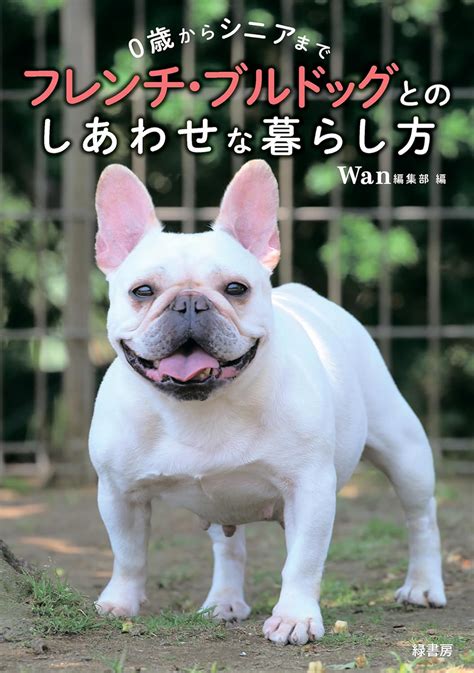 ブルドッグとフレンチ ブルドッグ：個性的な愛玩犬の比較ガイド