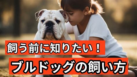 ブルドッグ 飼い方ガイド：愛らしい友との幸せな暮らしへ