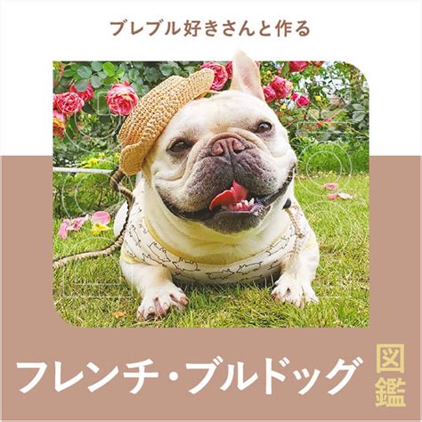 ブルドッグ 飼い方指南：幸せで健康な相棒と過ごすための完全ガイド