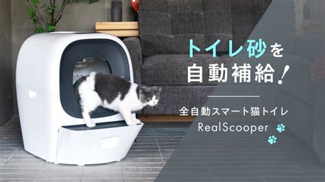 ブルーの猫砂 - 革新的な猫のトイレ体験