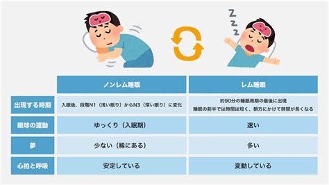 ブルーベリーで快眠！就寝前のブルーベリーで質の高い睡眠を手に入れよう