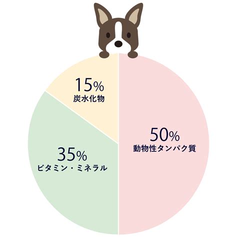 ブルーベリーは犬にとって安全で栄養価の高いおやつ