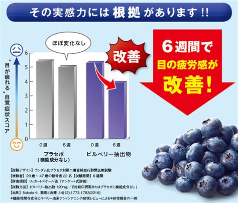 ブルーベリーサプリの目の健康への効果