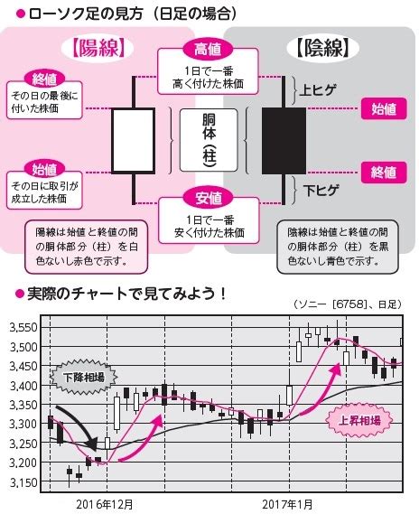 ブル足: 株価上昇の強気な兆候