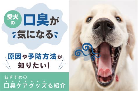 ブレスエアー ペット用：愛犬の口臭対策の決定版