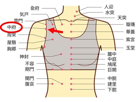 ブレスレスなあなたへ贈る、呼吸を楽にするための完全ガイド