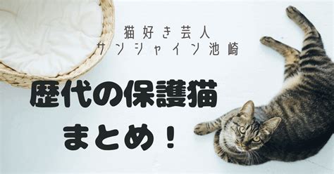 ブログ 猫: 猫好きのための包括的ガイド