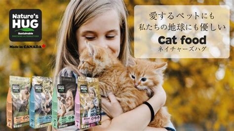 プレミアムフードで愛猫の健康と幸せを守ろう