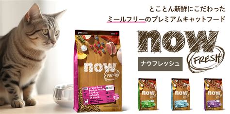 プレミアム キャットフードのすべて: 愛猫の健康と幸せのために