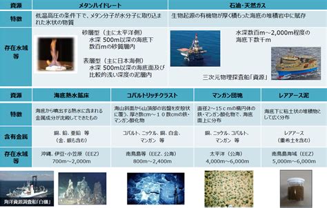 ベイリリィ：未来の海洋資源への新たな展望