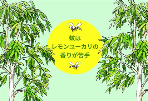 ベランダに潜む見えない脅威：ベランダダニを徹底解明