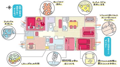 ベランダのダニ対策：快適で安全な空間を取り戻す